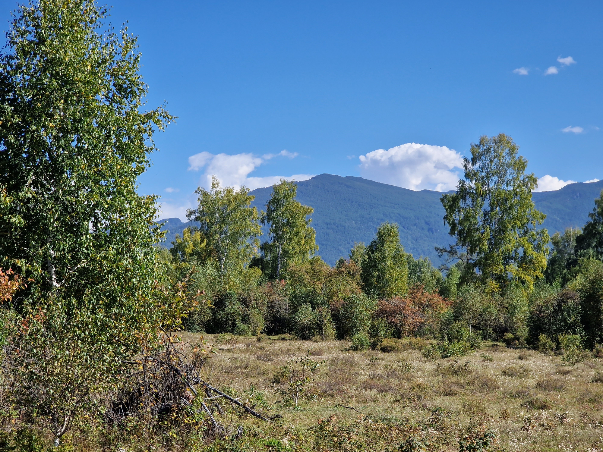 Buy the village "Quiet Harbor" by the Oskol River land plots of the Altai Mountains